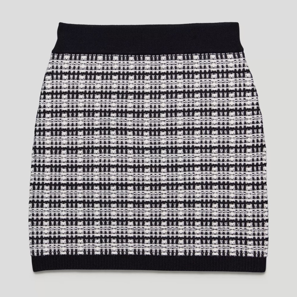 Aritzia Babaton Salvatore Skirt